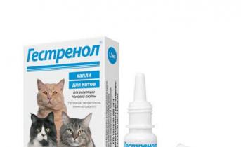Укол для кошек от течки, особенности процедуры, рекомендации ветеринаров Препараты от беременности для кошки